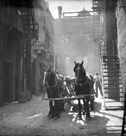 Allies of the alley