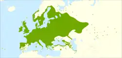 Areál rozšíření
