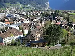 Pohled na Altdorf od kapucínského kláštera
