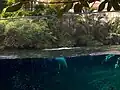 Tropická hala Rio Negro