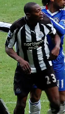 Shola Ameobi (2010)