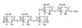amylopektin