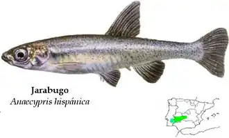 alternativní popis obrázku chybí