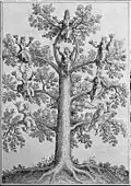 Ilustrace z Myliovy Anatomia auri z roku 1628
