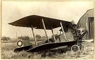 Anatra DS