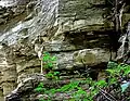 Geologické podloží Anenského údolí a okolních strání tvoří vrstvy usazené křídové horniny; na více místech je obnažena v podobě výchozu opukového kamene