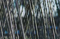 210mm