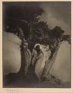 Srdce bouře, negativ 1902, tisk 1914