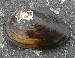 alternativní popis obrázku chybí