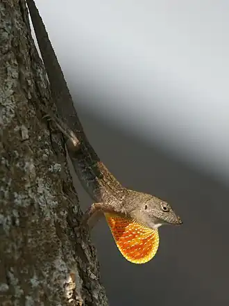 alternativní popis obrázku chybí