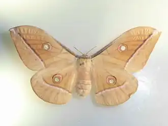 alternativní popis obrázku chybí