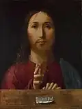 Spasitel světa