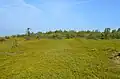 Anzerská tundra, mys Keňga