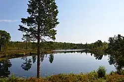 Jezero