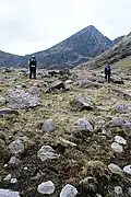 Z Hag's Glen