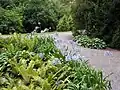Arboretum
