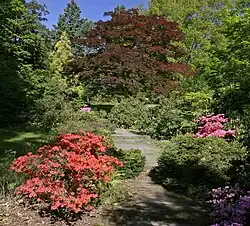 Arboretum Nový Dvůr - areál 2