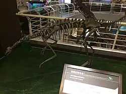 Archaeornithomimus z Vnitřního Mongolska