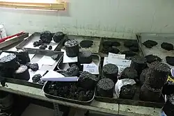 Laboratorní vzorky