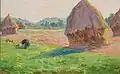 Stohy sena