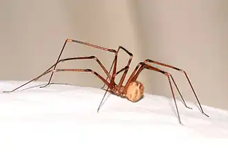 alternativní popis obrázku chybí