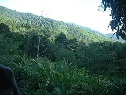 El Cerro del Aripo
