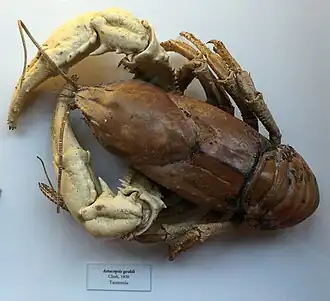 alternativní popis obrázku chybí