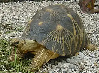 alternativní popis obrázku chybí