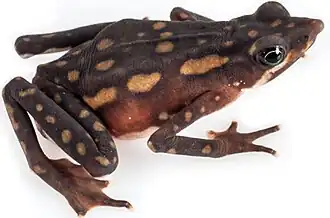 alternativní popis obrázku chybí