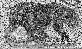 † Ursus arctos crowtheri
