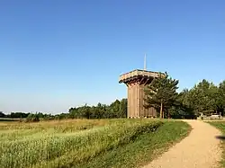 Aukštojas