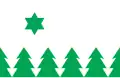 Avinurme vald – vlajka
