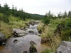 Bílá Desná v místě přechodu zeleně značené turistické cesty Smědava–Desná