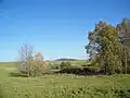 Pohled k pramenu Bílého potoka
