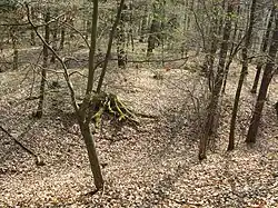 Bílovice, hrad.JPG