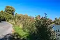 pohled na Býčinský rybník