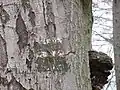Bývalé turistické značení na Čistecké hůře