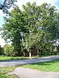 Památná lípa a socha svatého Jana Nepomuckého u mostu přes Vůznici v Bělči