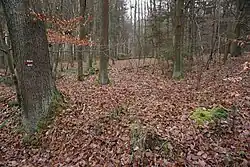 Běleč - zaniklá středověká ves jižně od obce, poblíž osady Kouty (2).jpg