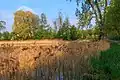 pohled na Březinský rybník