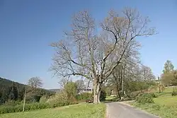 květen 2007
