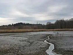 Pohled na Babu z východu (od Velkého panského rybníka)