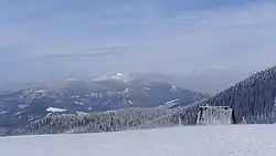 Babia hora