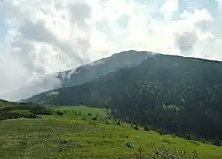 Babia hora