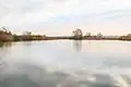 Babidolský rybník