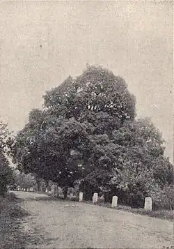 kolem roku 1900