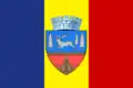 Bacău – vlajka