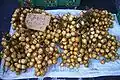 Plody Baccaurea motleyana na trhu na Borneu