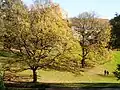 Univerzitní park (v pozadí jedna z budov)
