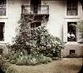 Balcon aux rosiers